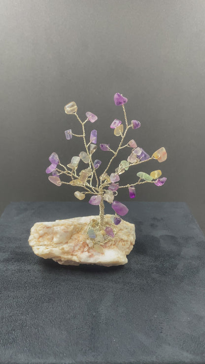 Fluorite Tree of Life